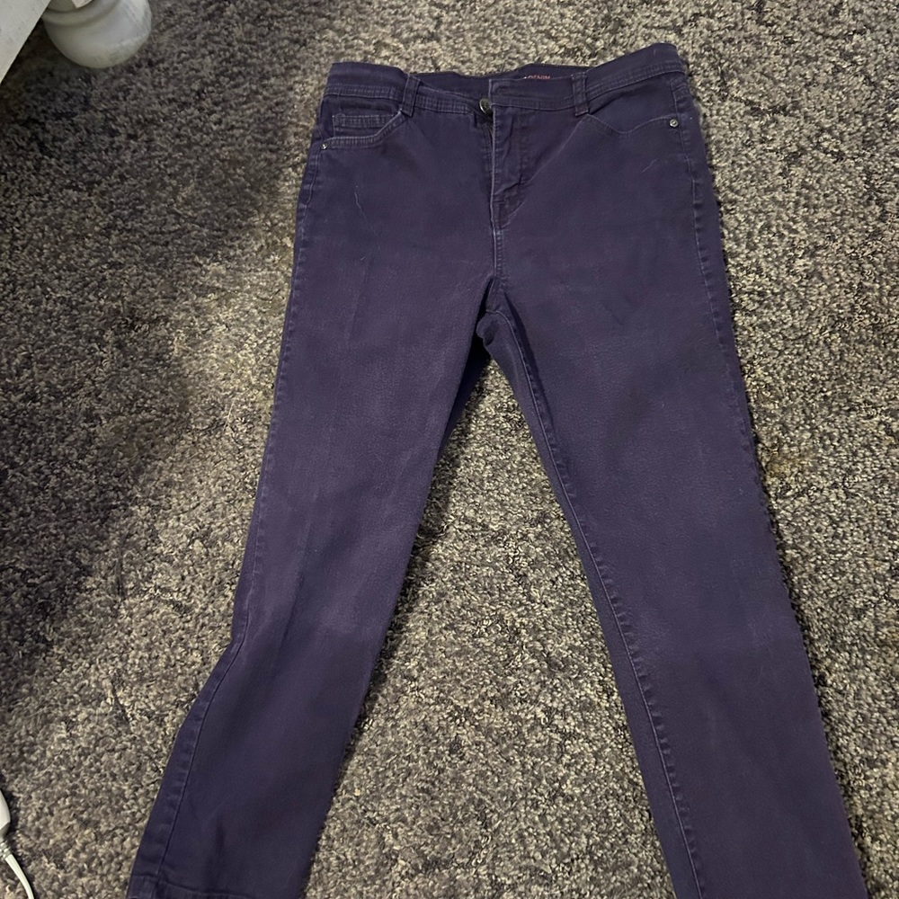 Style & Co Denim Petite